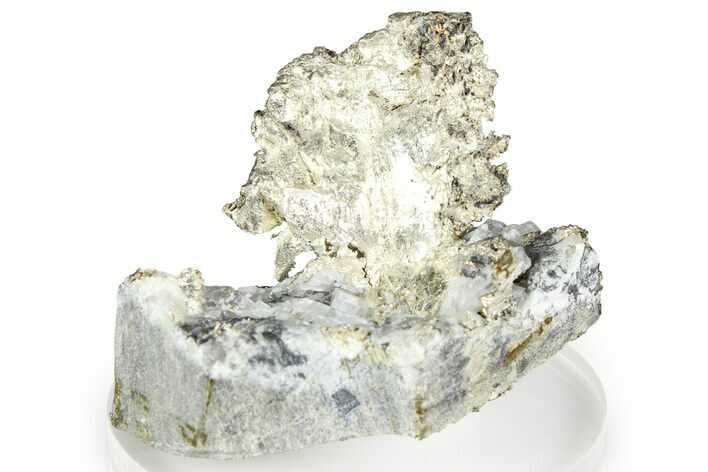 Native Silver in Calcite - Morocco #368323